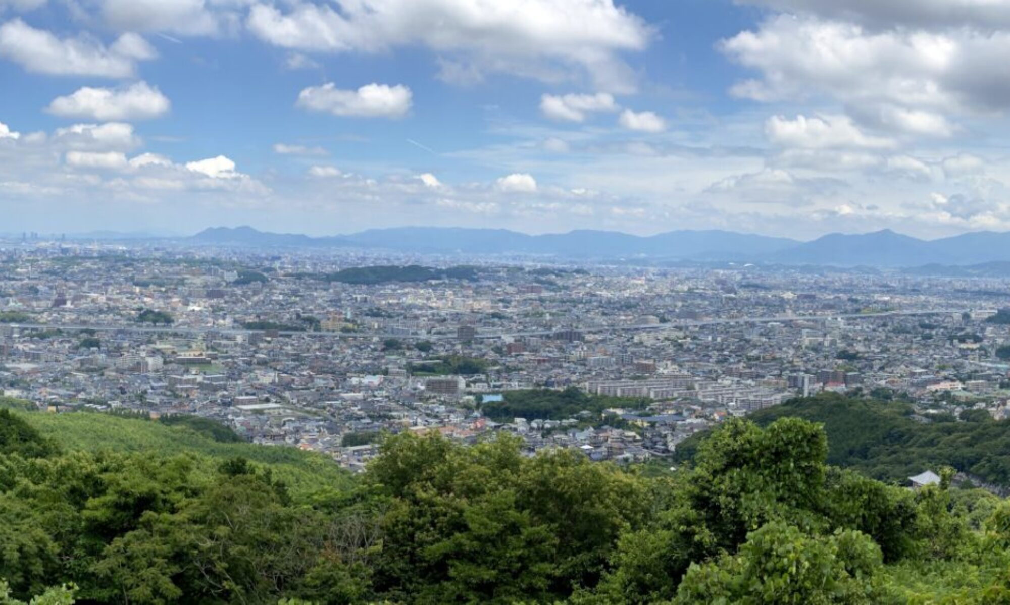 トップページ背景